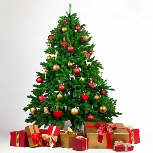 Christmas tree delivery image published on the Go Gardeners website