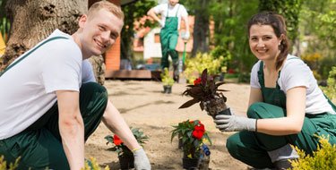 Go Gardening Team