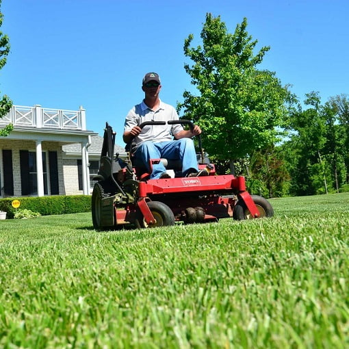 Lawn Care in Edmonton