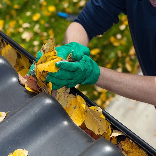 Gutter Cleaning Canary Wharf