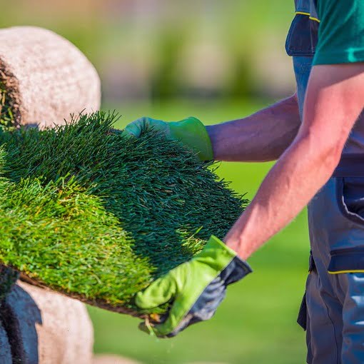 Landscaping in Edmonton