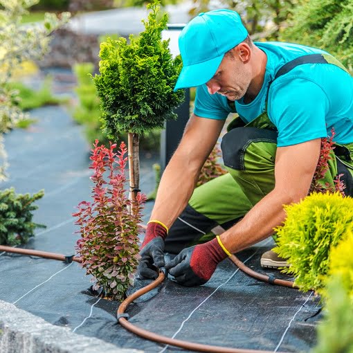 Landscaping Hackney