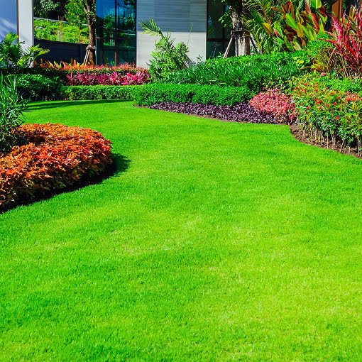 Landscaping Enfield