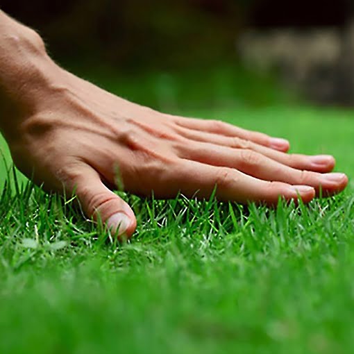 Lawn Care Edmonton