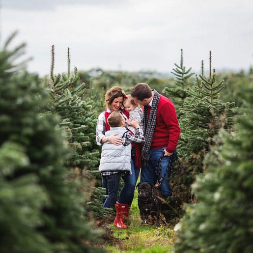 Christmas Tree Delivery London